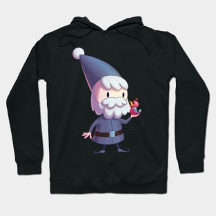 Gnome and Bird Hoodie